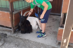 PHOTO-2019-06-18-16-08-34