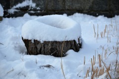 DSC_1259-2