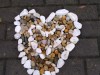 Land-Art-Nikola-Sevcikova-VI.-B