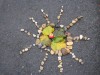 Land-Art-Tomas-Ordelt-VI.B