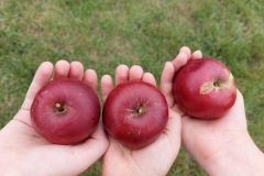 Školní rok 2025 - 2026