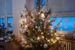 O nejhezčí vánoční stromeček