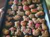 IMG-20210404-WA0037