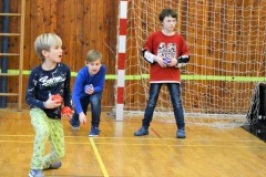 ŠD - Pétanque Open 2019