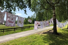 64323588_412006676051201_5886816724338081792_n