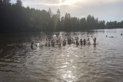 64360038_383768282301013_5590151826985975808_n