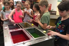 64430763_357245898316475_5104812976280436736_n