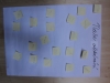 Team_Lipa_030