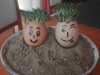 IMG-20200408-WA0005